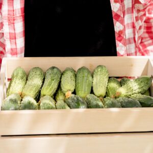 Pepinos cosechados (1KG)